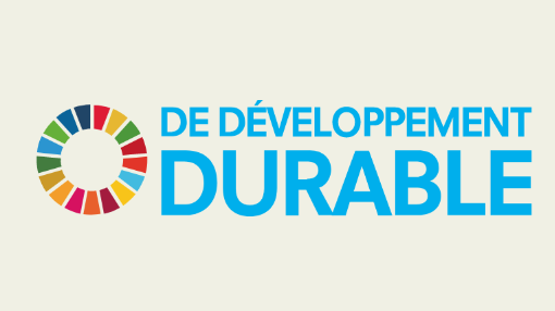 Logo Développement Durable objectif 2030.png